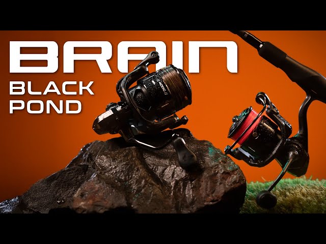 Котушка Brain Black Pond 4000 5+1BB Відео