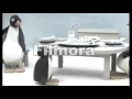 YouTube Tennis Pingu Trys To Rescue The Football