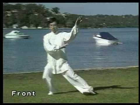 The Combined 42 Forms | Dr Paul Lam