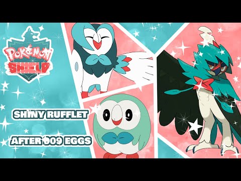 Shiny Rowlet After 909 Eggs in Pokemon Shield!