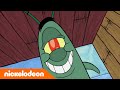 SpongeBob | SpongeBob verbouwt de Maatemmer | Nickelodeon Nederlands