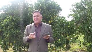 Cantar De Los Cantares