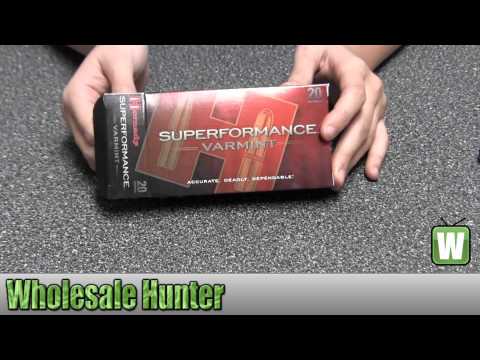 Hornady 243 Winchester 58Gr Superformance V-Max 8343 Ammunition Shooting Hunting Unboxing