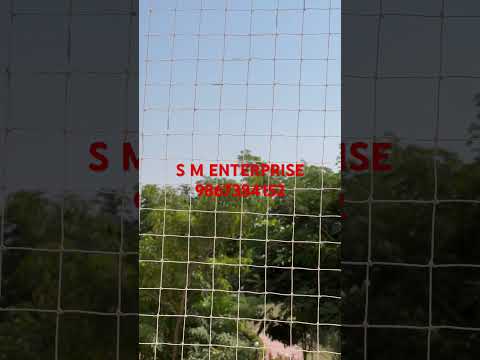 Safety Net