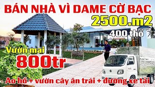 Download lagu A huge garden house on the outskirts of Ho Chi Minh City. Selling urgently to pay off debts. A va... mp3 Download lagu A huge garden house on the outskirts of Ho Chi Minh City. Selling urgently to pay off debts. A va... mp3