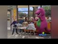 Barney Song Let S Take Care Of Our Pets Our Furry Feathered Fishy Friends