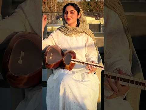 STUNNING Traditional Iranian Music Played On The Tar