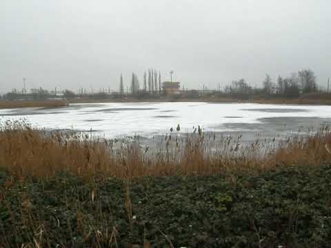 Rangeerstation Antwerpen Noord - Binnenmoeras