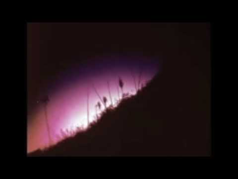 wifiskeleton - nope your too late i already died (Instrumental) (Slowed)