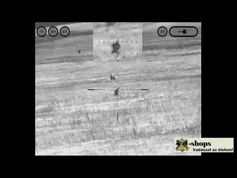 Electrooptic X Series - két bagoly 130 méterre