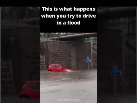 SILLY Drivers try to drive in a FLOOD 😭🤣 ¦ Driving Fails
