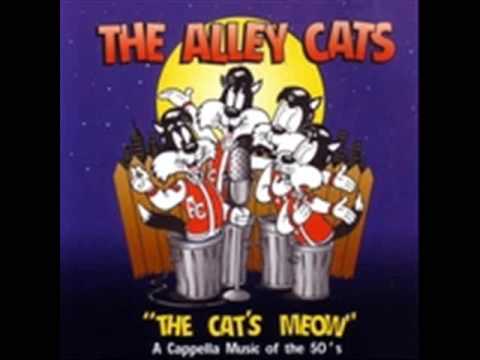 The Alley Cats – The Lion Sleeps Tonight | Doo-wop a cappella con humor felino