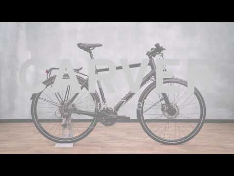 Carver Uniq Zwei - 2020 - 28 Zoll - Diamant