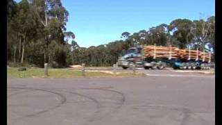 South Coast Koalas Ignored In New Government Strategy - ChipSTOP