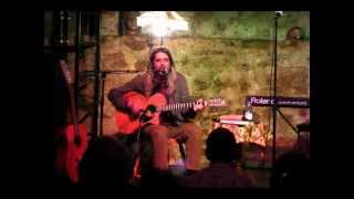 high flying bird.wmv