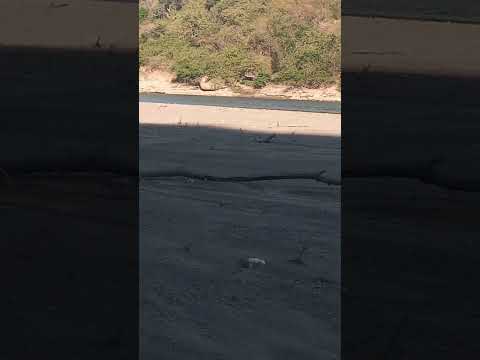 rio lenpa el salvador  tecoluca san Vicente  una hermosa tarde en la naturaleza #suscribete