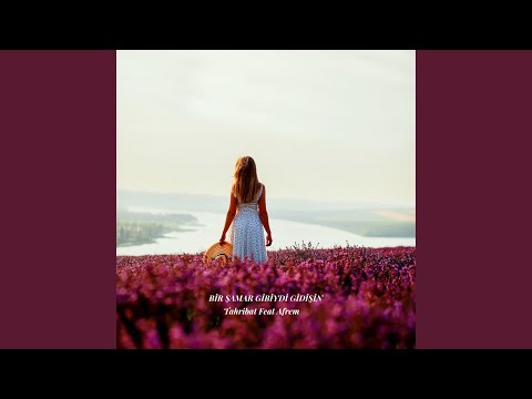 Bir Şamar Gibiydi Gidişin (feat. Afrem)