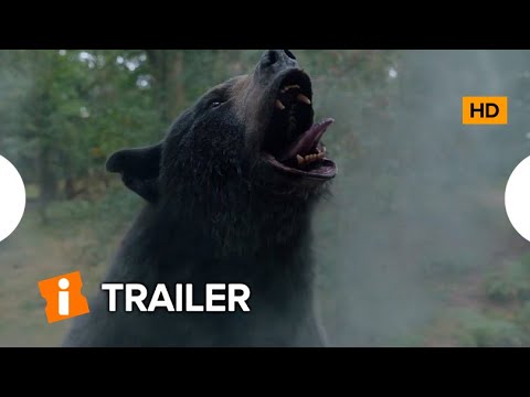 HZ  Urso consome droga e vira assassino em filme que mistura