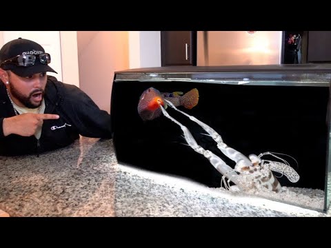 van-e mínusz látomás