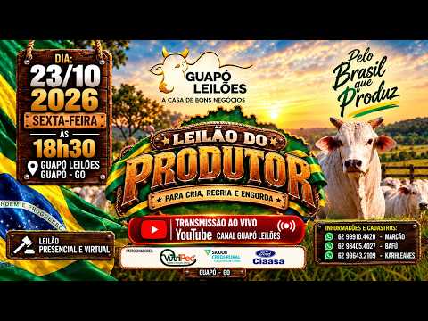 GUAPÓ LEILÕES – LEILÃO DE GADO – GUAPÓ, GOIÁS – 🐂  23/10/2026