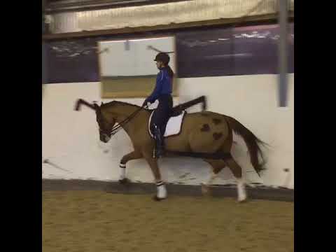 Quaterback nachkomme