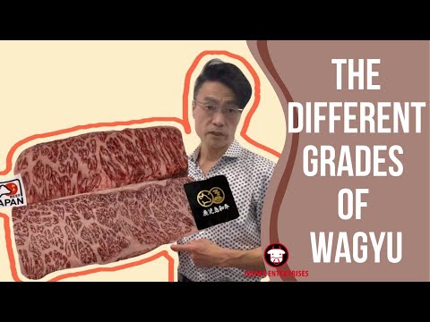 WHAT DO A5 WAGYU REALLY MEANS? | The difference grades of Japanese wagyu.