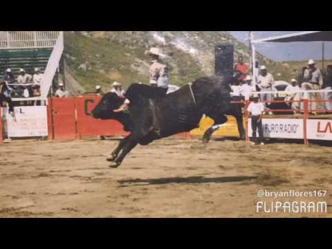 Unos recuerdos de Luis flores más conocido como EL Cubanito De Cuba alias El Rey de Grapa