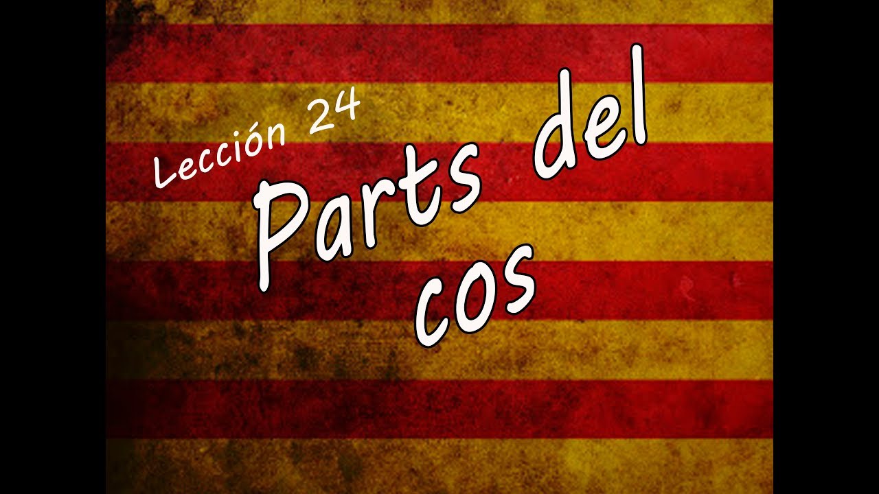 El CUERPO 🦶👁👅 #catalanfacil