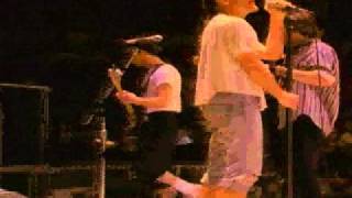R.E.M. You Are The Everything (Live)