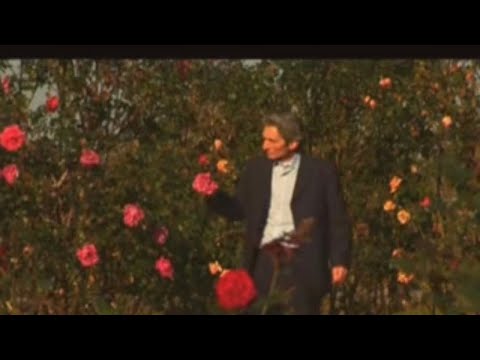 Gelinliğinle Gel - Gani Kürklü