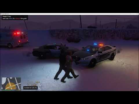 GTA 5 Mods | Snowy night patrol (GTA 5 LSPDFR Mods Roleplay)