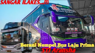 Download lagu Ngerri-ngerri mantappp || STJ Aransha tempel bokong laju prima. mp3