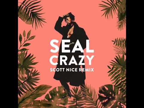 Seal - Crazy (Scott Nice Remix)