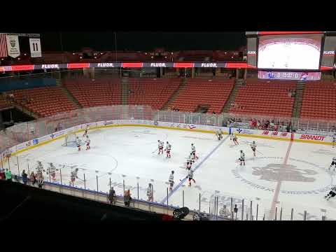 Greenville Swamp Rabbits vs Worcester Railers #hockey #swamprabbits #echl