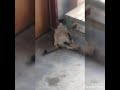 Engge Nimmathi Nimmathi Endru