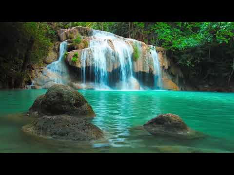 #zen-music #zenmusick #relaxinmusic🎶 Relaxing Music 🙌, Peaceful 🔅Music, Meditation Music, Calm Music