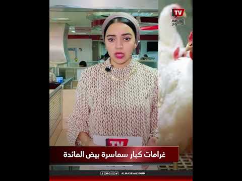 نشرة المصري اليوم غرامات على كبار سماسرة بيض المائدة و حملة ترشيح مصطفى كامل لمنصب نقيب الموسيقيين