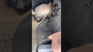 VOLVO D13  code P24D100 particulate matter sensor
