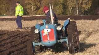 preview picture of video 'Fordson Dexta @ Kirriemuir Ploughing Association Ploughing Match, 10-11-13'