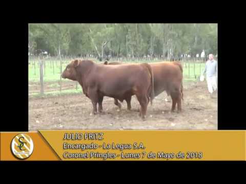 07-05-18 Nota Julio Fritz y Daniel Talamo - Estancia y Cabaña La Legua S.A. - Coronel Pringles.