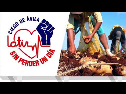 Entregan reconocimiento Latir Avileño a empresas y entidades destacadas