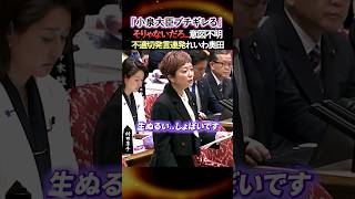 【不適切発言連発】※小泉防衛大臣も激怒...れいわ奥田議員が意図不明の質問で皆唖然...