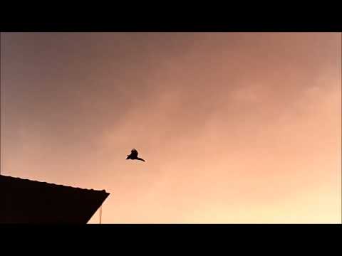 Joey Alexander Trio, Leverkusen (2021)