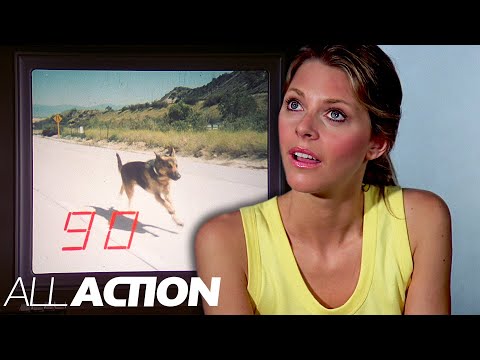 Meet The Bionic Dog! | The Bionic Woman | All Action