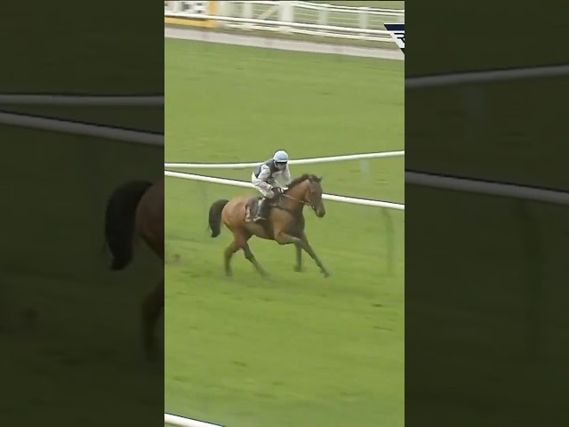 Thumbnail for Post ID: b9hJoIDlXhU