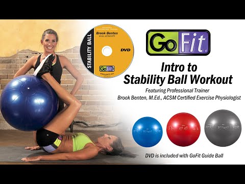 GoFit Intro To Stability Ball DVD