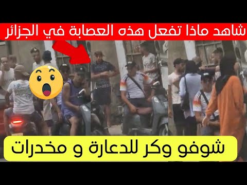 شاهد ماذا تفعل هذه العصابة في حي بوفاريك بالجزائر العاصمة 😱