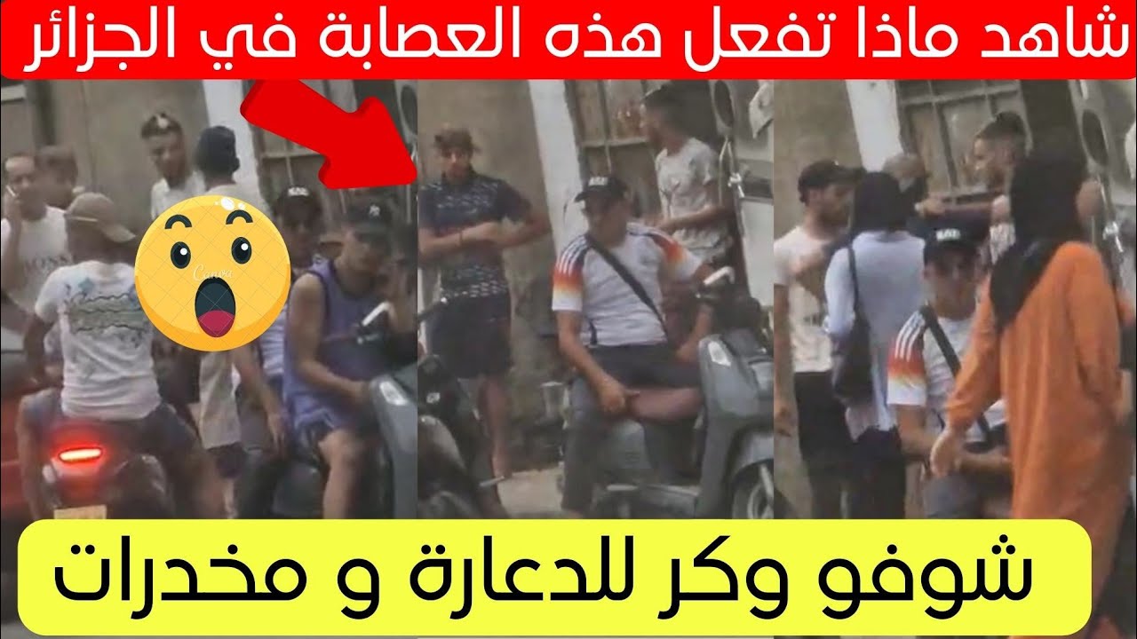 شاهد ماذا تفعل هذه العصابة في حي بوفاريك بالجزائر العاصمة 😱