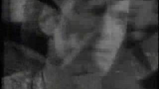 deLillos - Den feite mannen