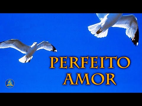 Perfeito Amor video